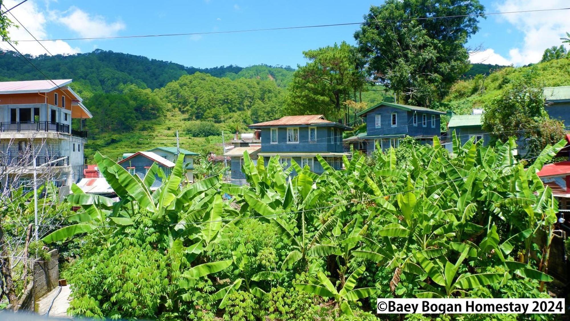 Baey Bogan Homestay Sagada Eksteriør billede