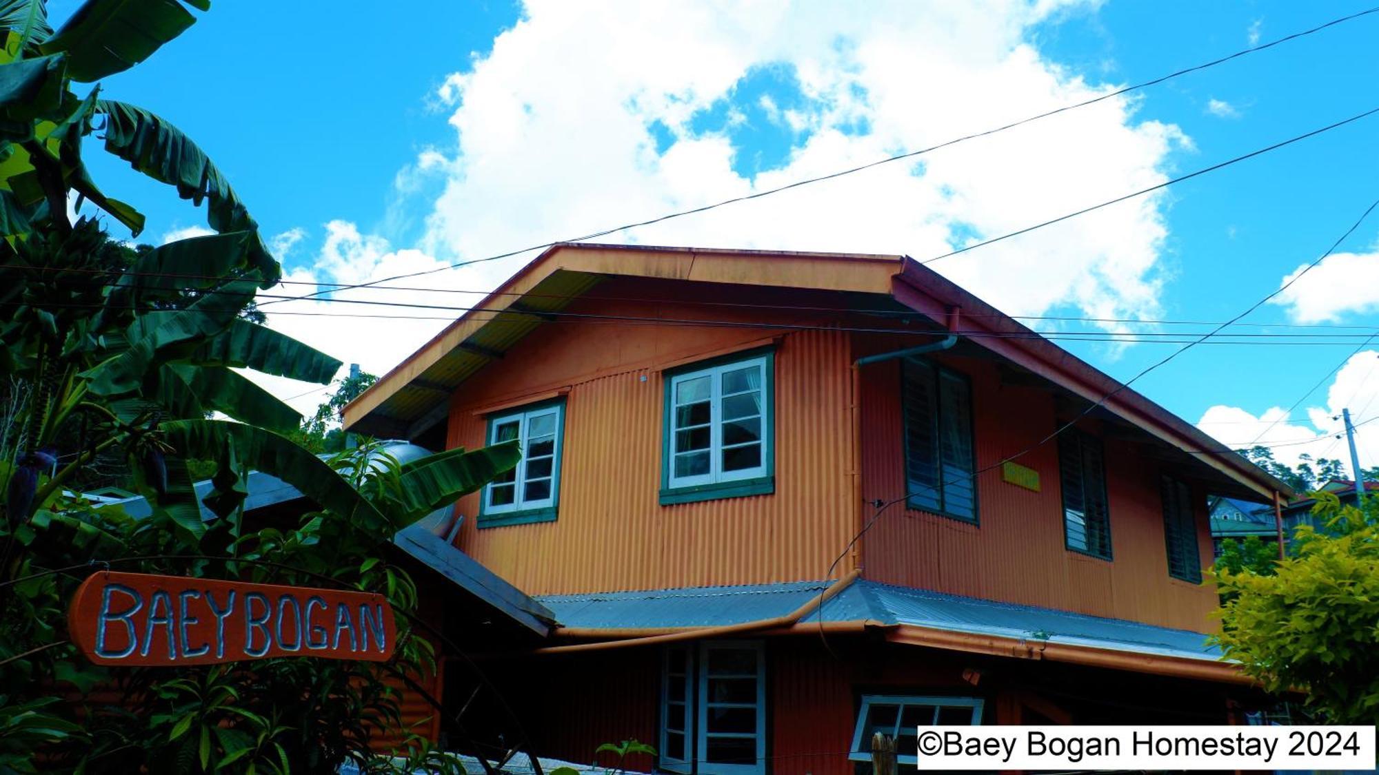 Baey Bogan Homestay Sagada Eksteriør billede