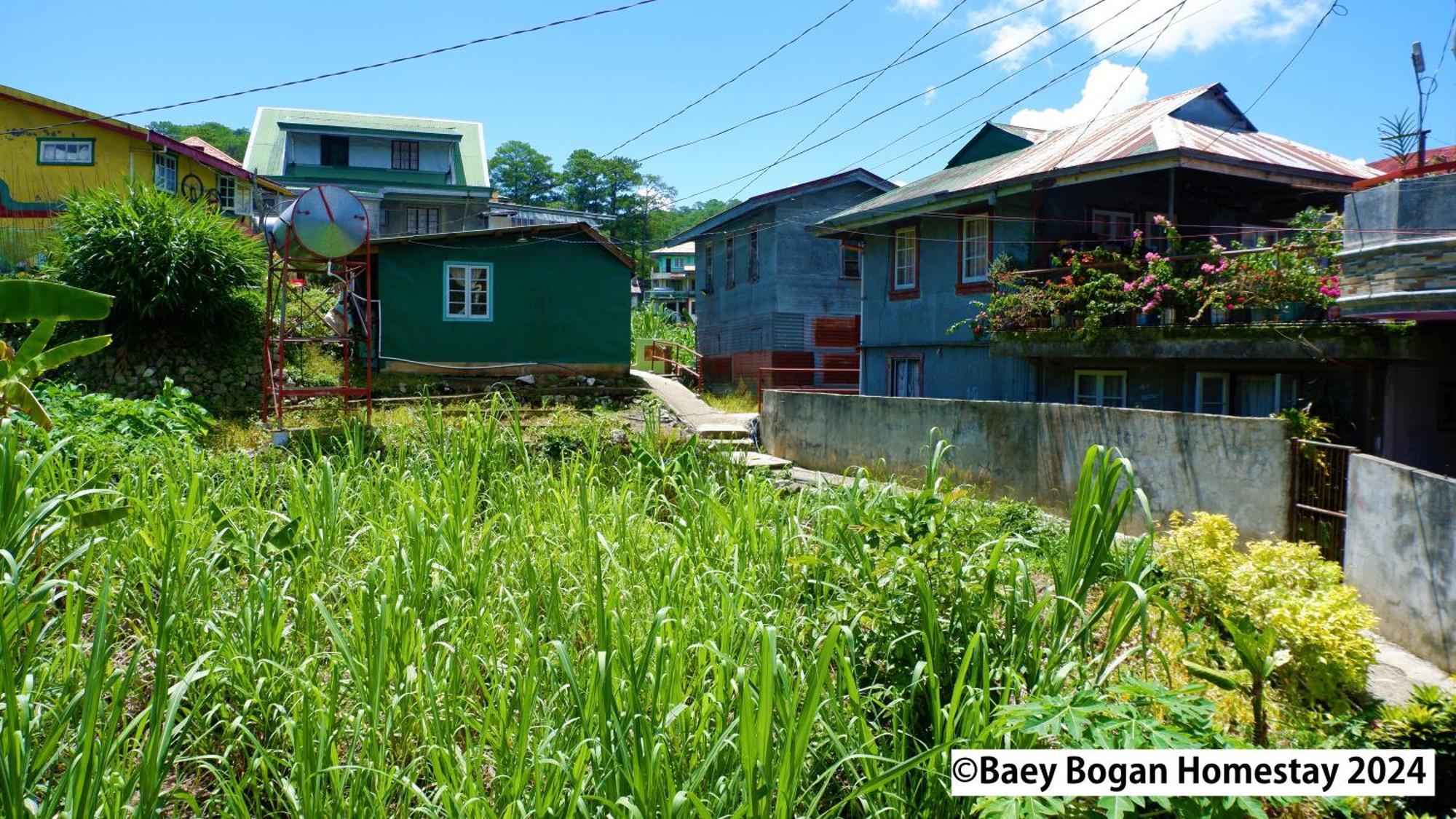 Baey Bogan Homestay Sagada Eksteriør billede