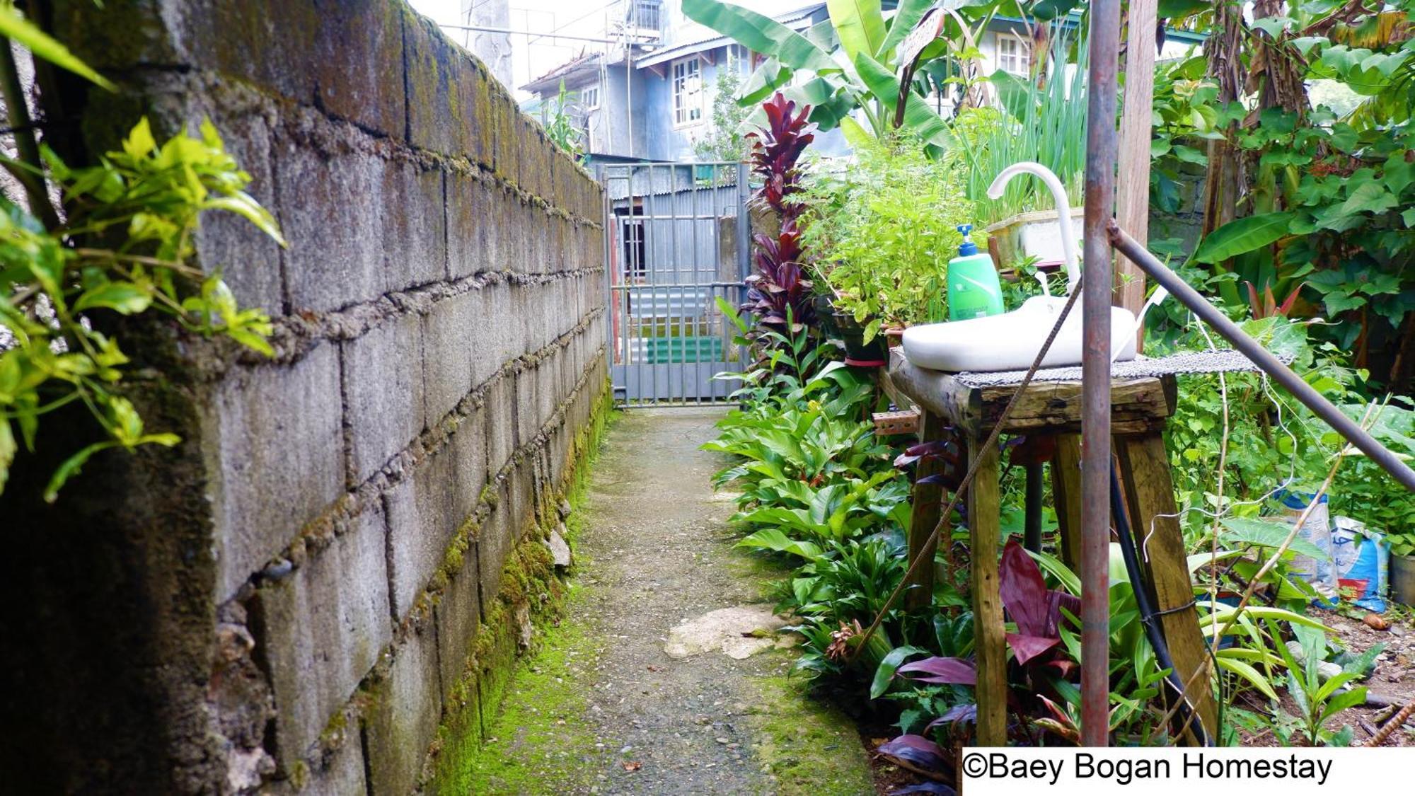 Baey Bogan Homestay Sagada Eksteriør billede