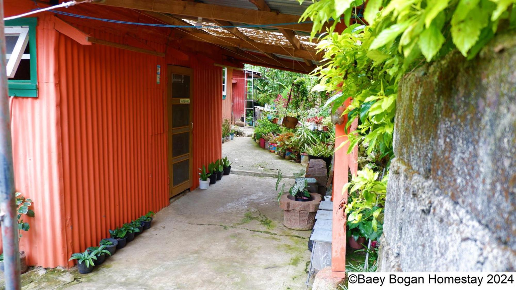 Baey Bogan Homestay Sagada Eksteriør billede