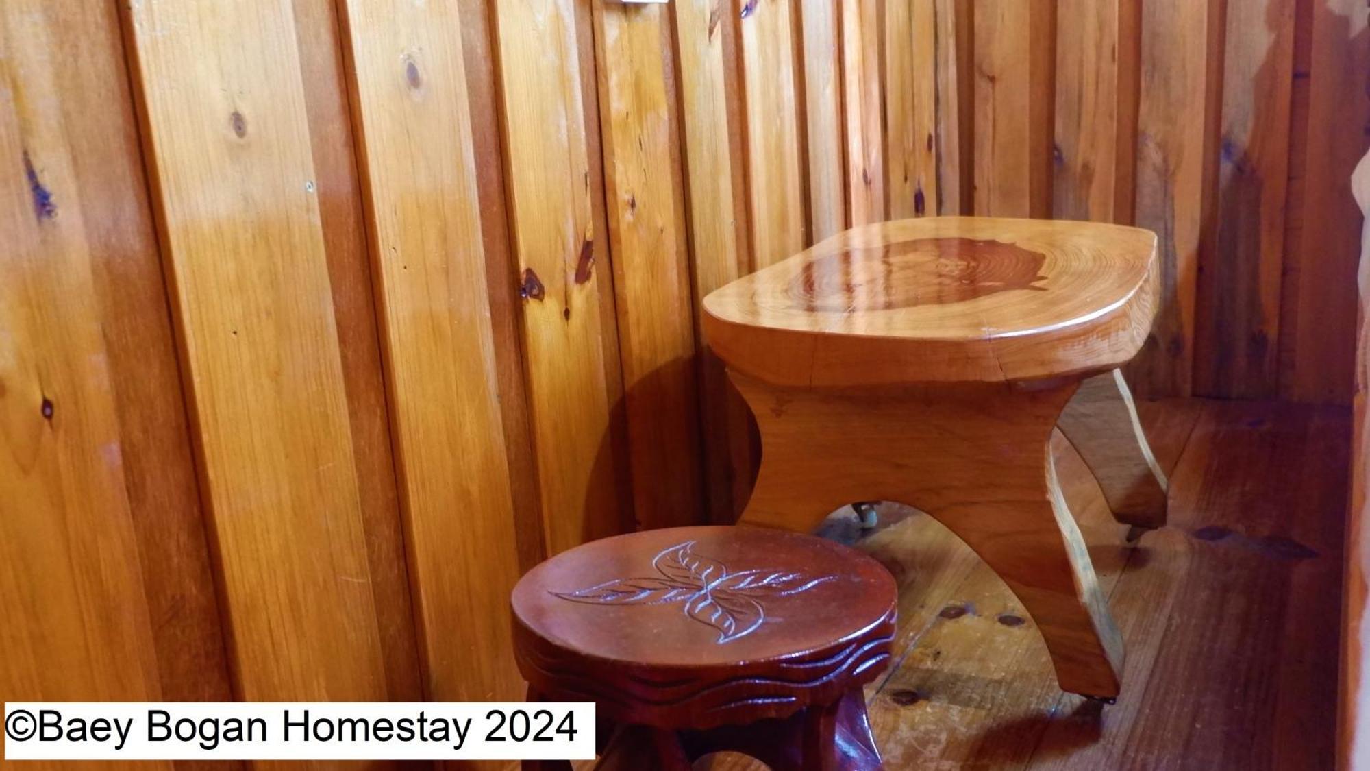 Baey Bogan Homestay Sagada Eksteriør billede