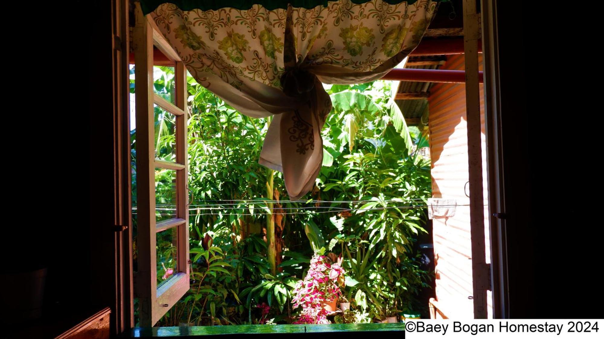 Baey Bogan Homestay Sagada Eksteriør billede